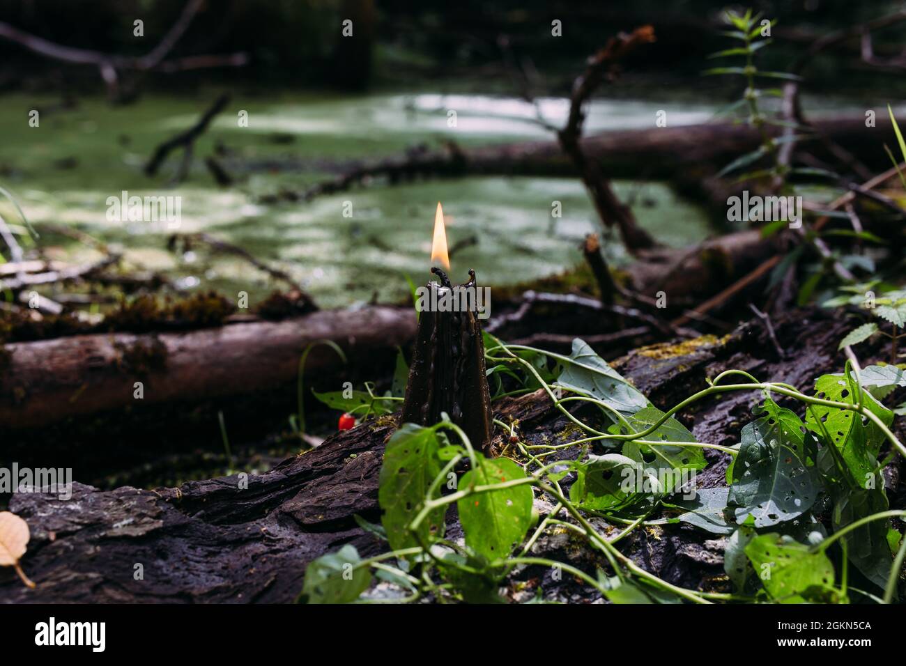 Concetto occulto, esoterico, divinazione e wicca. Halloween sfondo vintage Foto Stock