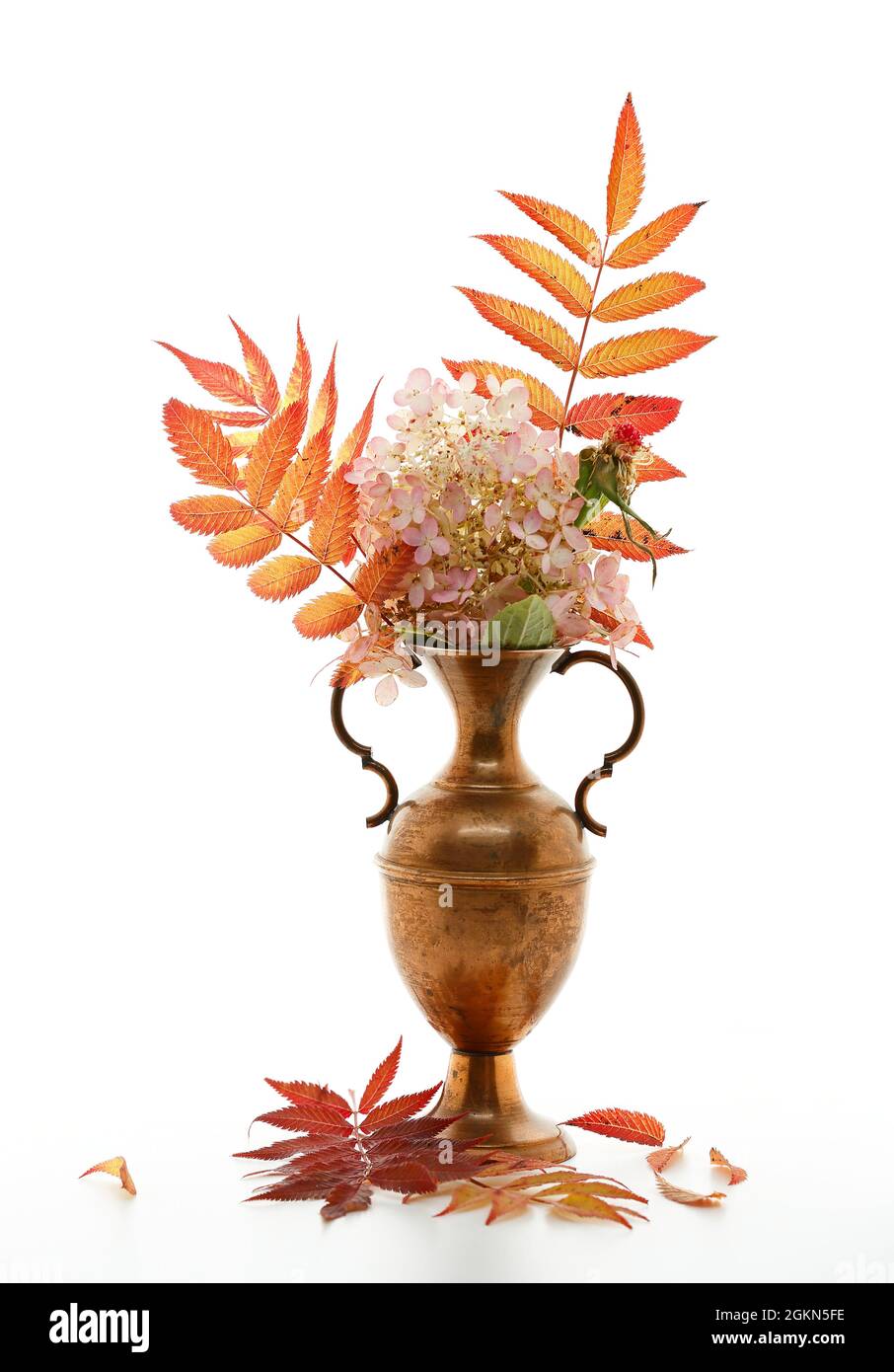 Composizione autunnale con foglie arancioni e rosse e fiori di ortangea in anfora di ottone Foto Stock