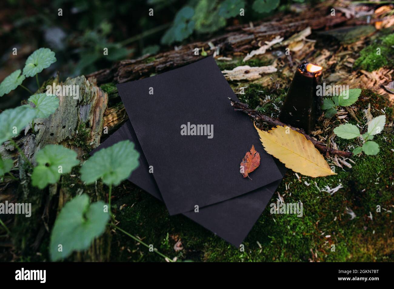 Mockup di carta artigianale nera, candela nera sullo sfondo della natura magica foresta Foto Stock