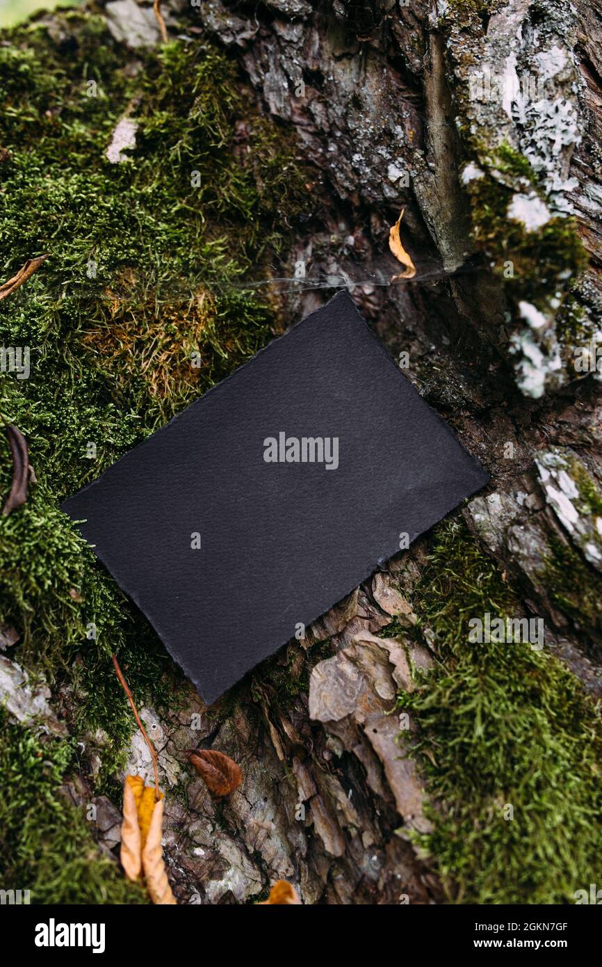 Modello di mockup nero di carta artigianale sullo sfondo della natura magica foresta Foto Stock