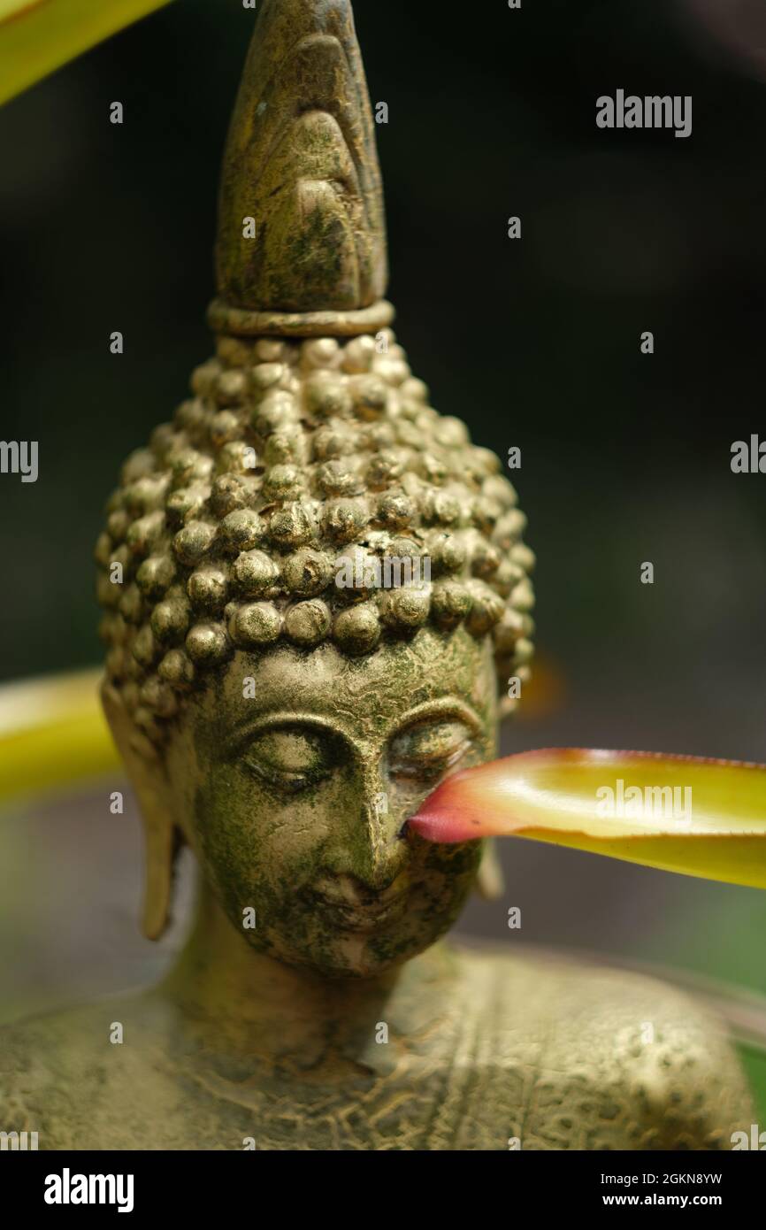 La testa di statuetta di Buddha di argilla o bronzo, ricoperta di vernice d'oro e parzialmente ombreggiata da qualche foglia tropicale Foto Stock