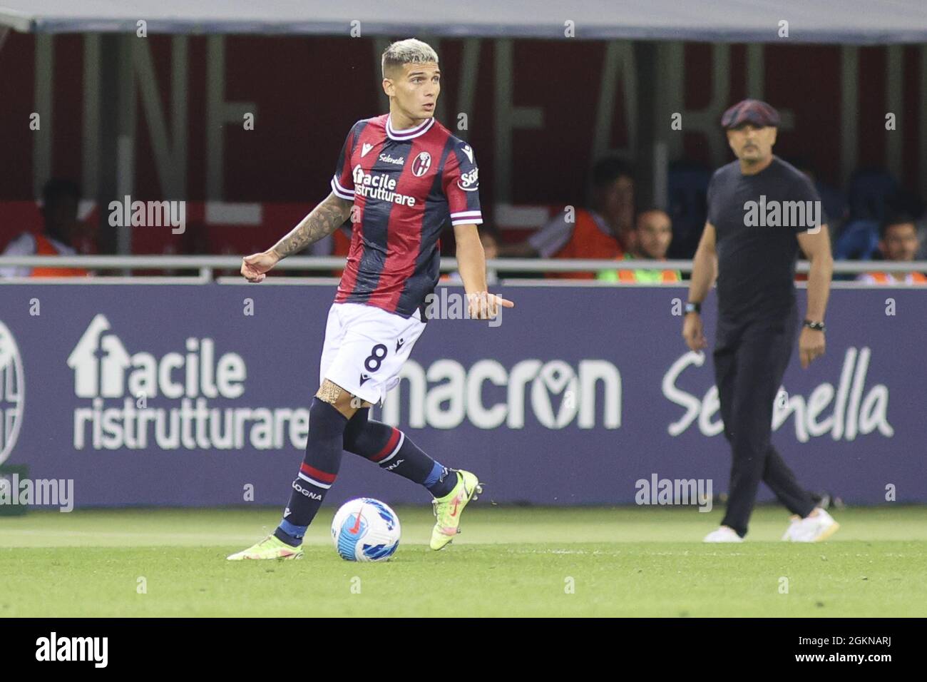 Renato Dall&#39;Stadio Ara, Bologna, 13 settembre 2021, Nicolas Martin Dominguez -Bologna durante il Bologna FC vs Hellas Verona FC - italiano f Foto Stock