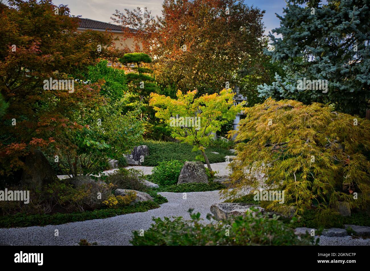 Giardino Apanese a Friburgo in Breisgau Germania Foto Stock