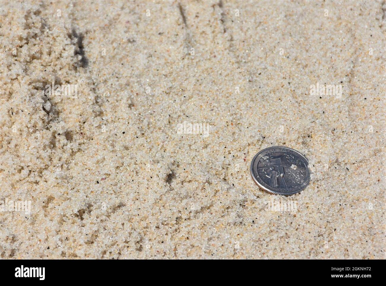 Un quarto si trova nella sabbia sul Jones Beach state Park a New York, 5 giugno 2021. Ricercatori del centro di ricerca e sviluppo dell'armata degli Stati Uniti, insieme al servizio geologico degli Stati Uniti, alla scienza di Marda e alla James Madison University, Stanno coinvolgendo scienziati cittadini in un'iniziativa nazionale SandSnap per accumulare un database di dimensioni dei grani di spiaggia spaziale e temporalmente variabile a livello nazionale, scattando foto di qualsiasi moneta statunitense di dimensioni sulla spiaggia e caricando l'immagine su un'applicazione web per l'analisi delle dimensioni dei grani. Foto Stock