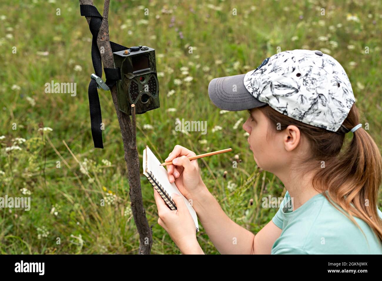 Giovane donna scienziata zoologo iscritto dati da trappola fotocamera a blocco note, osservando animali selvatici nella foresta taiga, monitoraggio di rari e pericolo Foto Stock