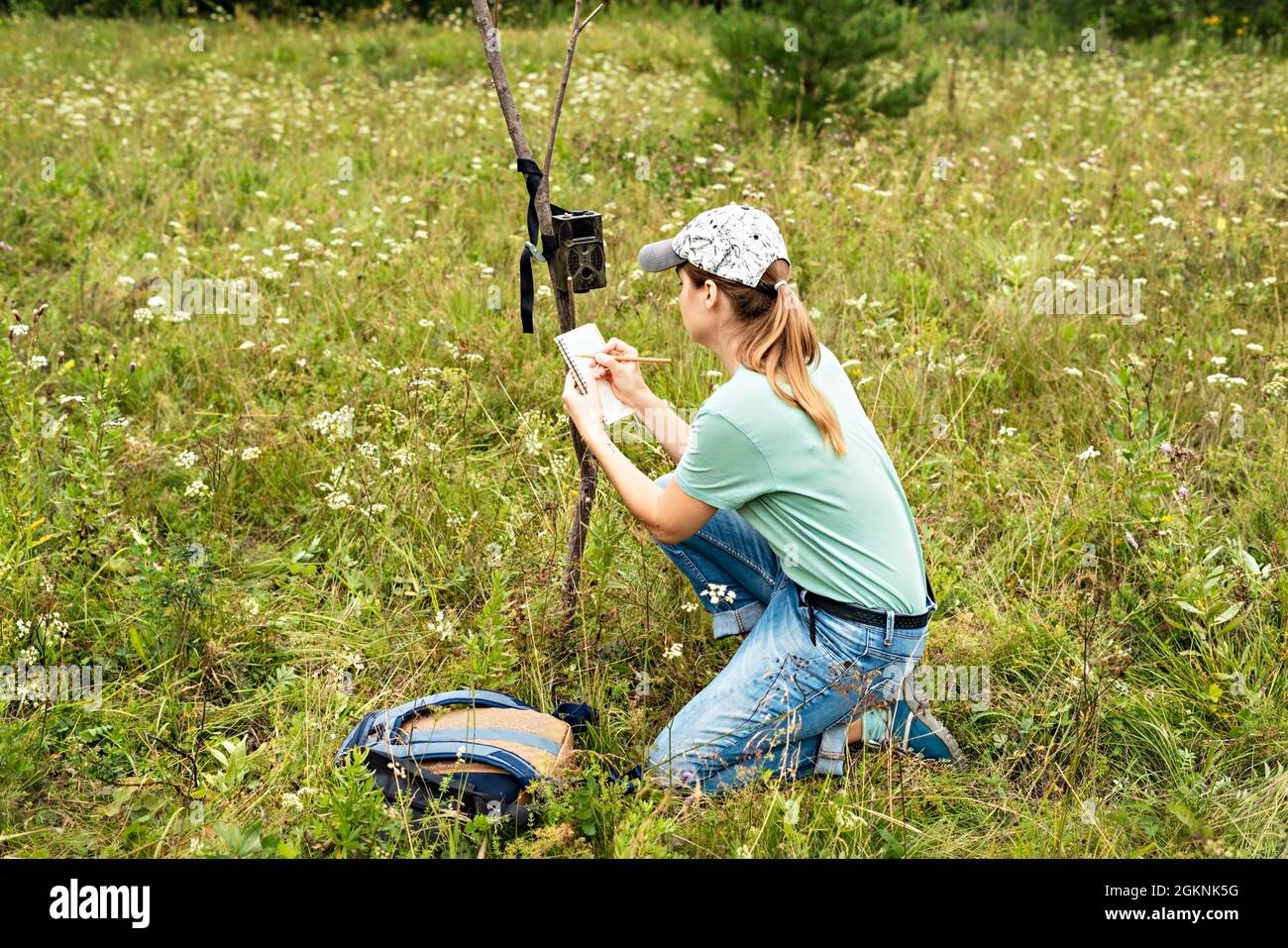 Giovane donna scienziata zoologo iscritto dati da trappola fotocamera a blocco note, osservando animali selvatici nella foresta taiga, monitoraggio di rari e pericolo Foto Stock