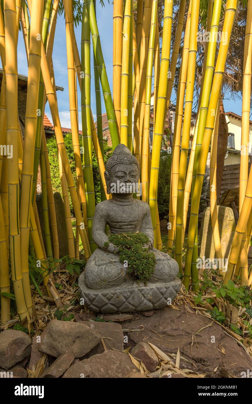 Scultura di Buddha in pietra di fronte a un bambù nel giardino Foto Stock