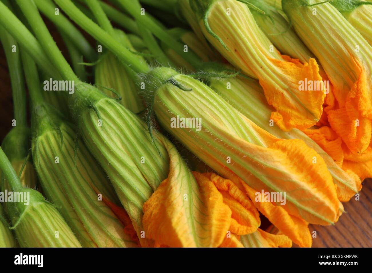 Fiori freschi di zucchine su sfondo rustico scuro Foto Stock
