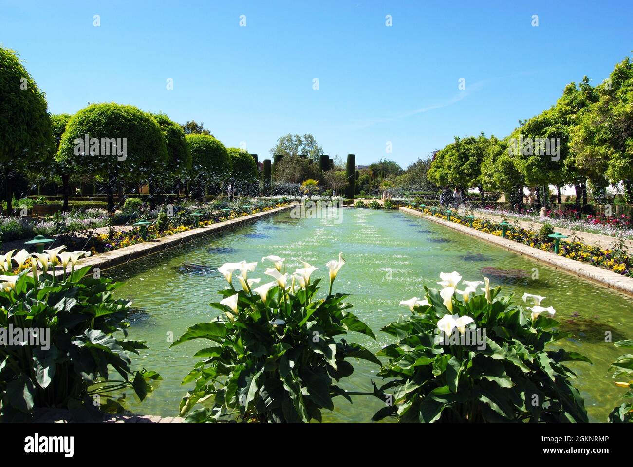 Giardino d'acqua presso la Fortezza del Palazzo dei Re Cristiani (Alcazar de los Reyes Cristianos), Cordova, Provincia di Cordova, Andalusia, Spagna, Europa. Foto Stock