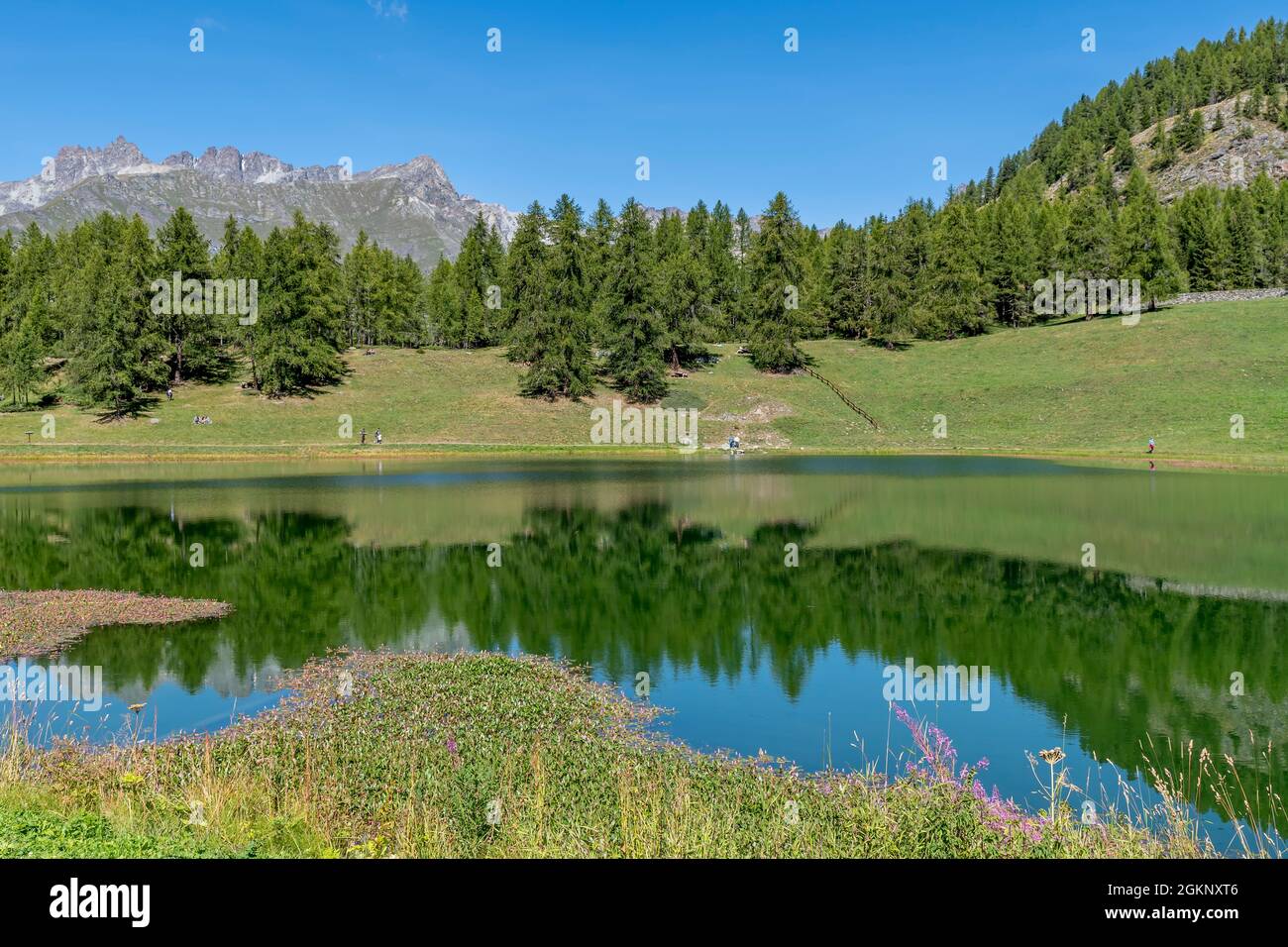 La natura circostante si riflette nelle acque del lago di Lod, Valle d'Aosta, Italia, nella stagione estiva Foto Stock