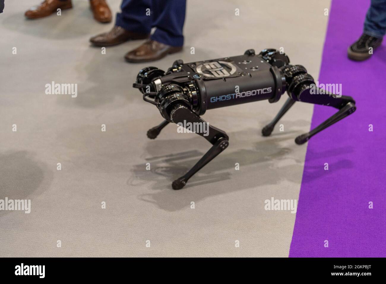 Londra, Regno Unito. 15 settembre 2021. DSEI (Defense Security Equipment International) all'Excel Center London Robotic dog Credit: Ian Davidson/Alamy Live News Foto Stock