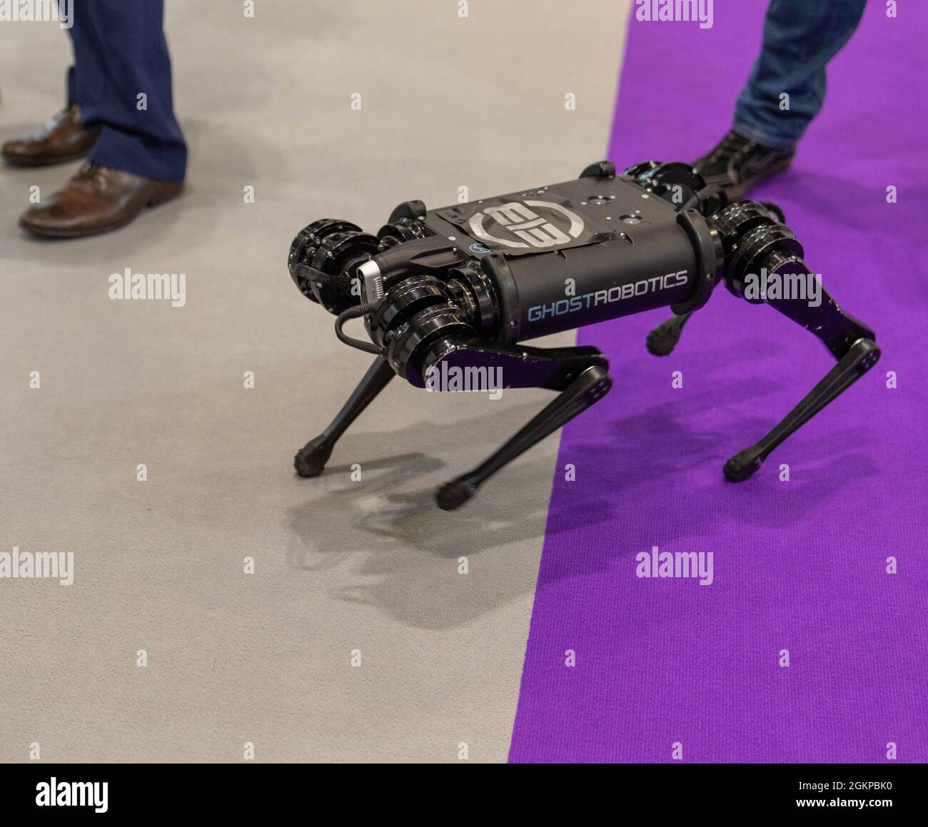 Londra, Regno Unito. 15 settembre 2021. DSEI (Defense Security Equipment International) all'Excel Center London Robotic dog Credit: Ian Davidson/Alamy Live News Foto Stock