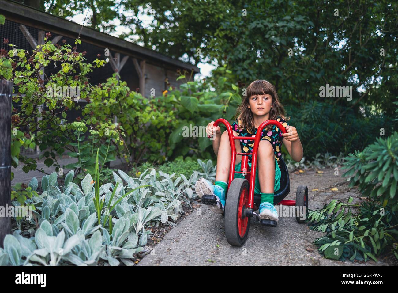 Bambina che guida una bicicletta nel parco Foto Stock