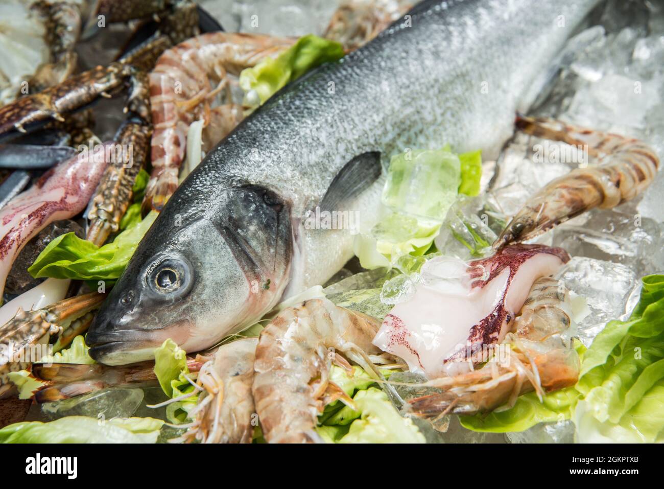Frutti di mare su ghiaccio ancora vita di pesce, granchio e gamberi su ghiaccio Foto Stock