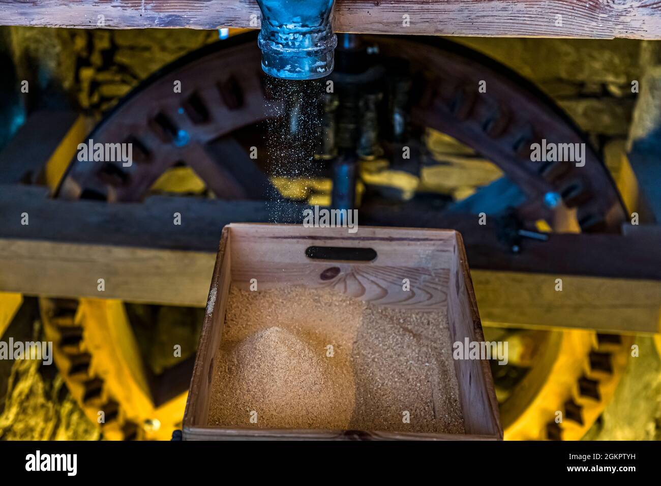 La farina Farina Bona finemente macinata si riversa dal meccanismo di macinazione in una scatola di legno, la ruota dentata in legno della trasmissione è visibile dietro di essa - oggi come in passato, la farina passa attraverso setacci di diversa finezza. Vergeletto, Circolo d'Onsernone, Ticino, Svizzera. Foto Stock