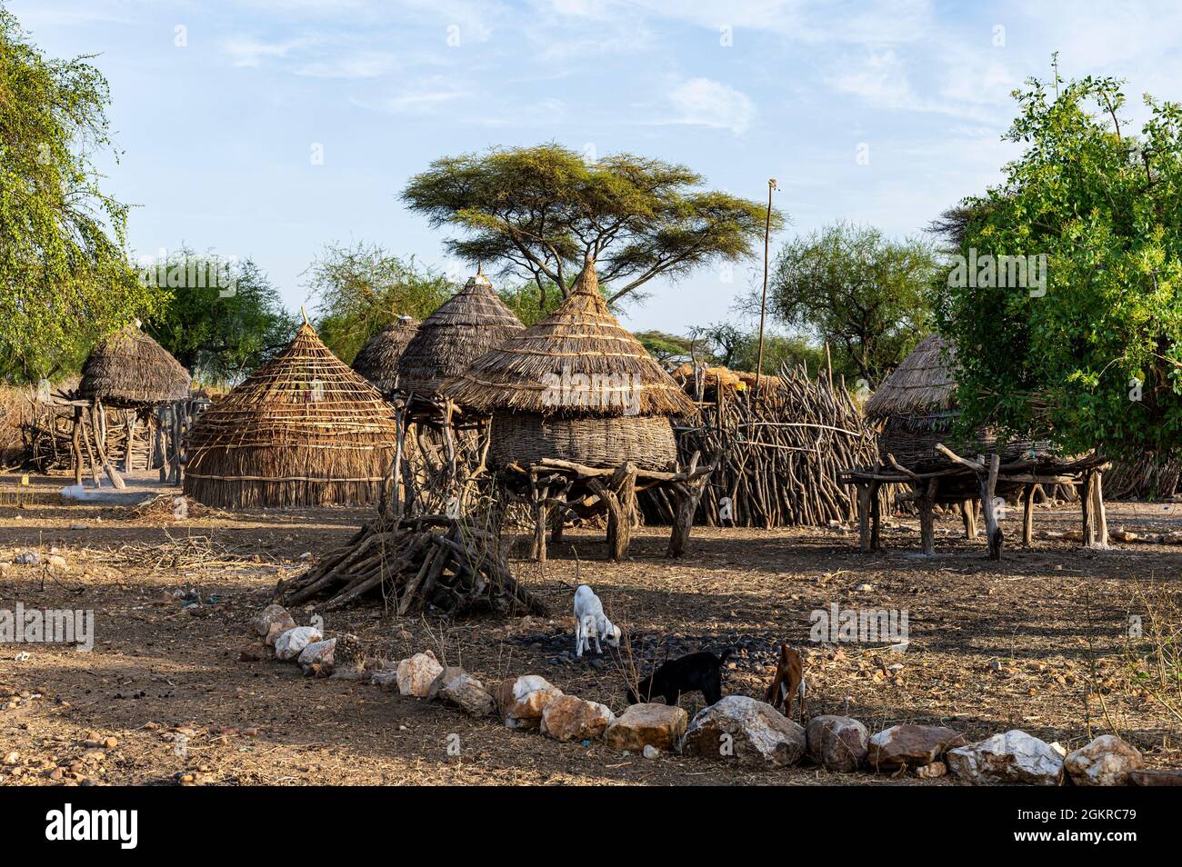 Capanne tradizionali della tribù Toposa, Equatoria Orientale, Sudan del Sud, Africa Foto Stock