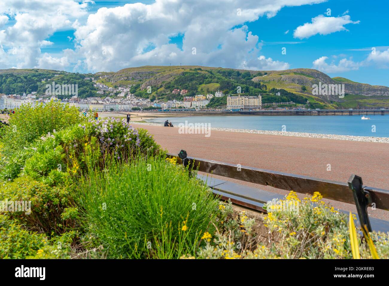 Vista del molo di Llandudno e del Great Orme sullo sfondo da Promenade, Llandudno, Conwy County, North Wales, Regno Unito, Europa Foto Stock