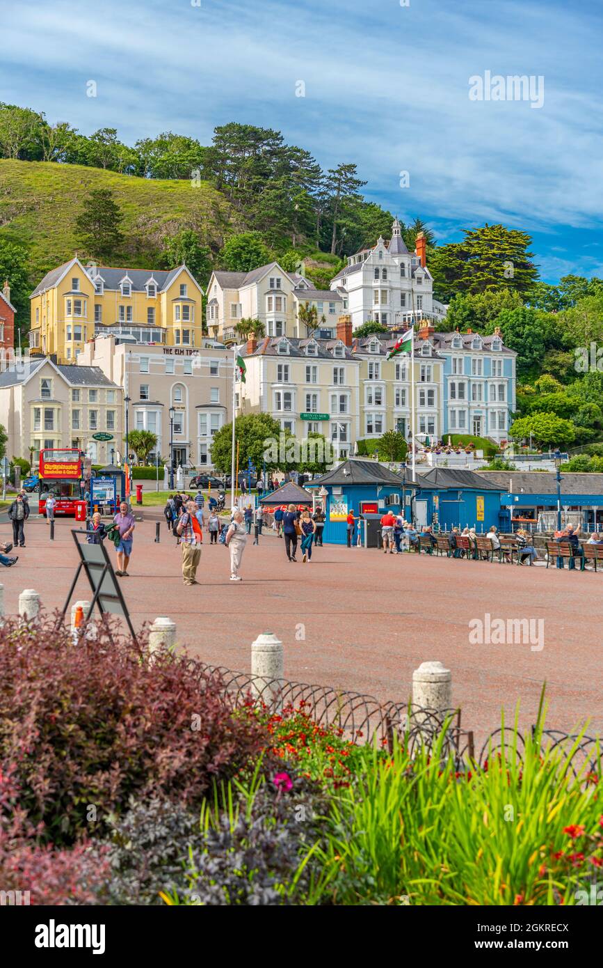 Vista della Llandudno Promenade, Llandudno, Contea di Conwy, Galles del Nord, Regno Unito, Europa Foto Stock