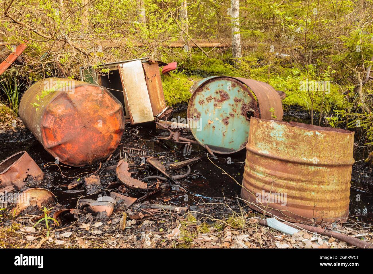 Barili di spreco tossici lasciati dietro in una foresta Foto Stock