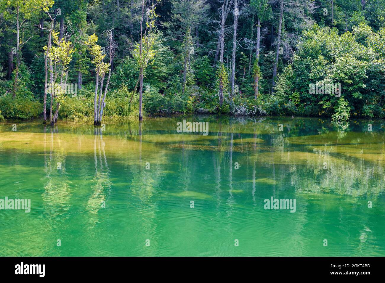 Vista panoramica del paesaggio lungo le rive delle acque cristalline del fiume Watauga e di una diga sommersa di castori in Tennessee. Foto Stock