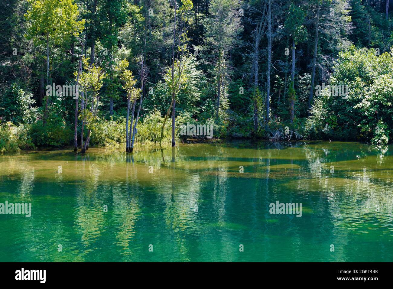 Vista panoramica del paesaggio lungo le rive delle acque cristalline del fiume Watauga e di una diga sommersa di castori in Tennessee. Foto Stock