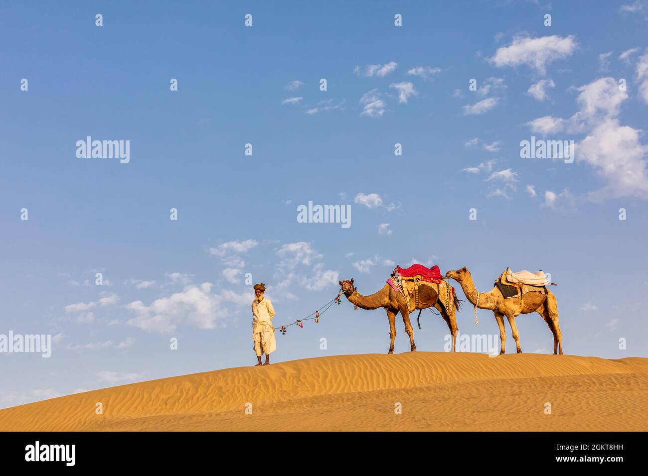 Un uomo vecchio con i suoi cammelli, deserto di Thar, Rajasthan, India Foto Stock
