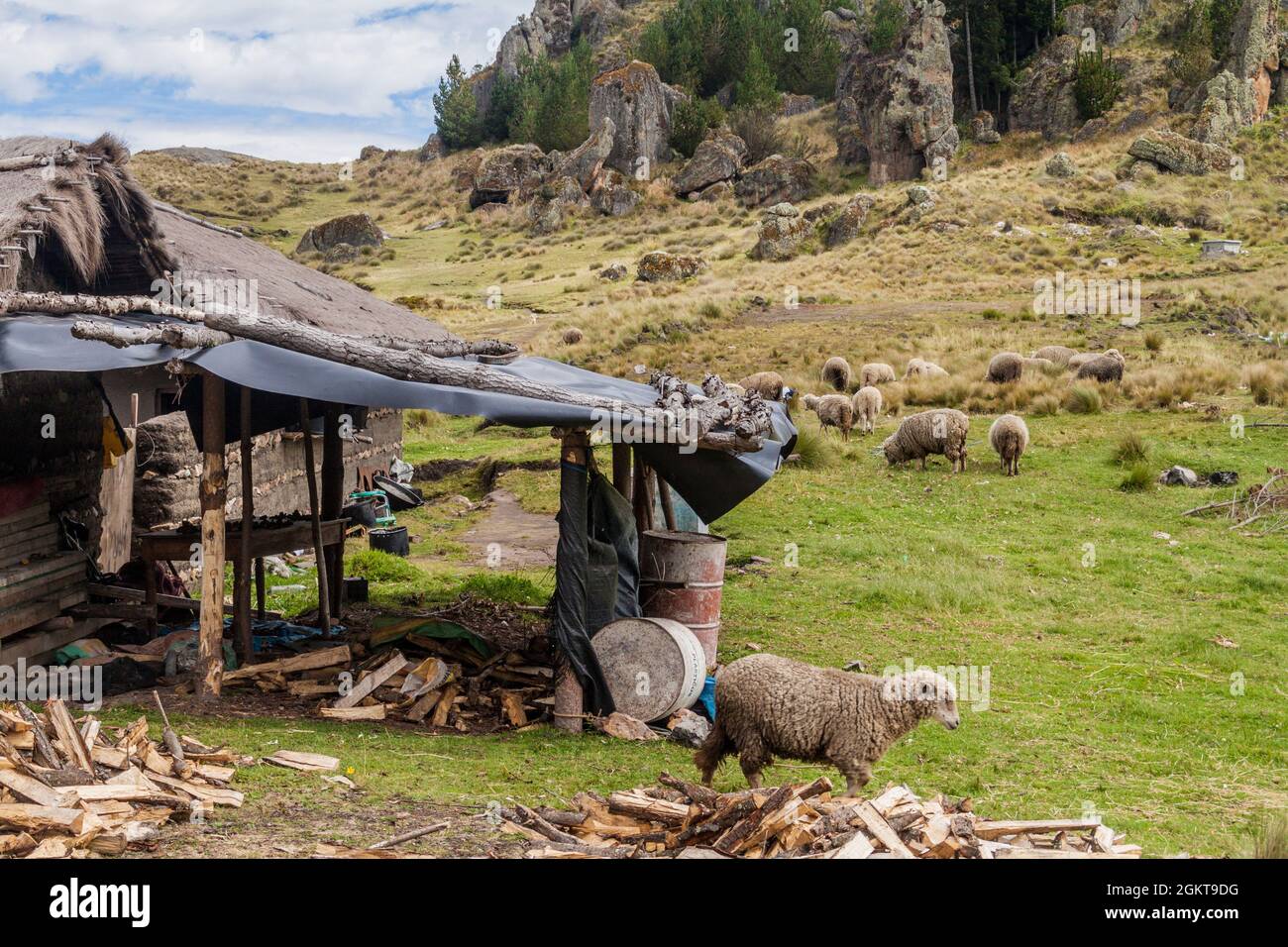 Mandria di pecore e una casa rurale vicino a Los Frailones (Monaci di pietra), formazioni rocciose vicino Cajamarca, Perù. Foto Stock