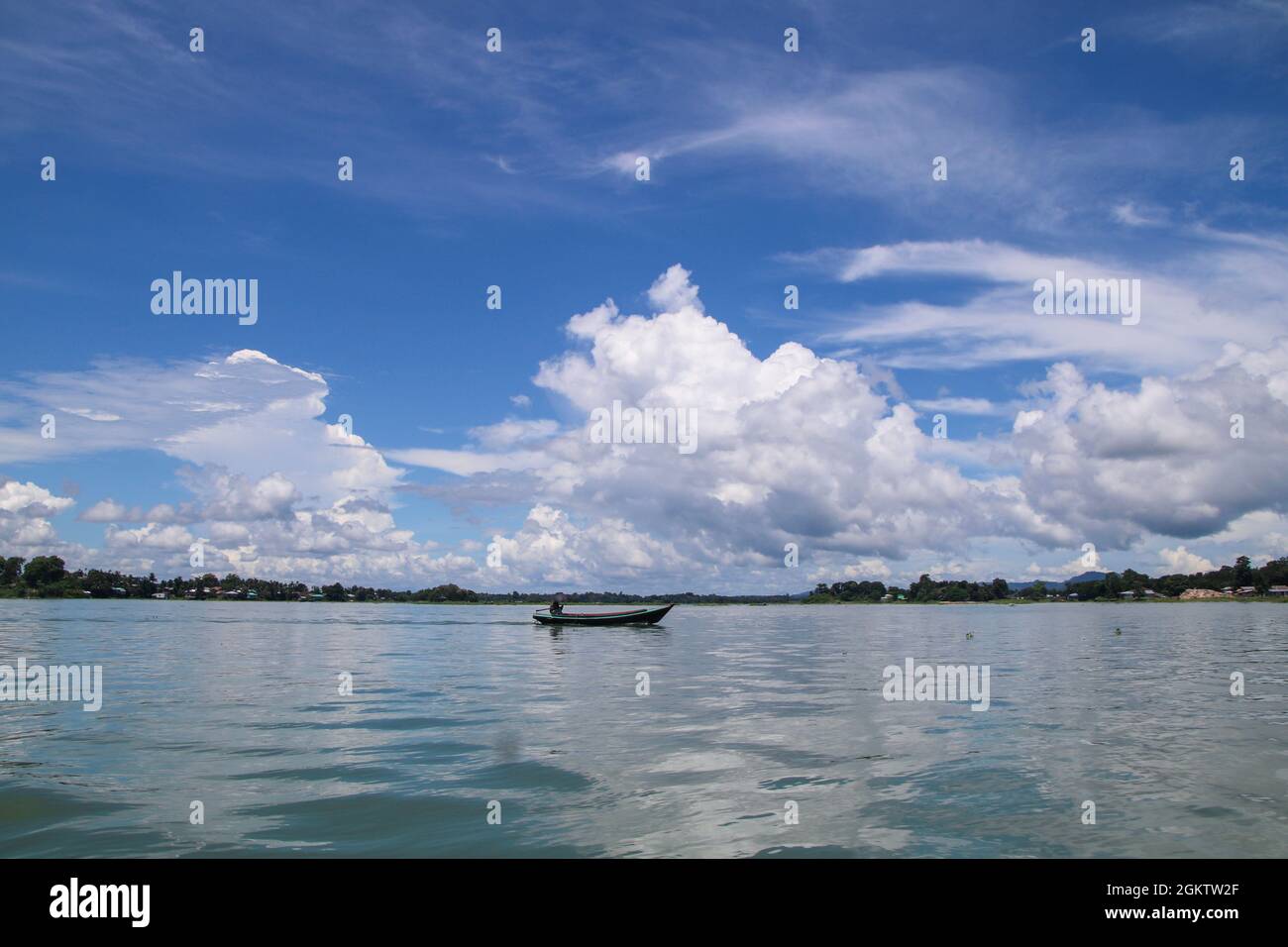 Bellezza della vita fluviale Foto Stock