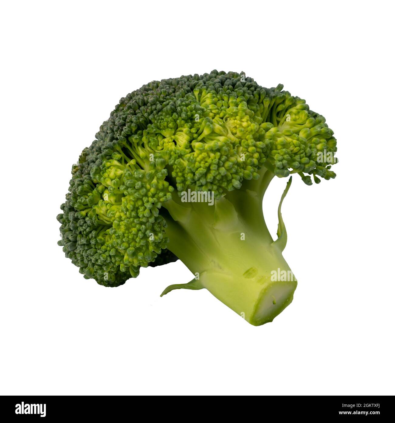 Broccoli isolati su sfondo bianco Foto Stock