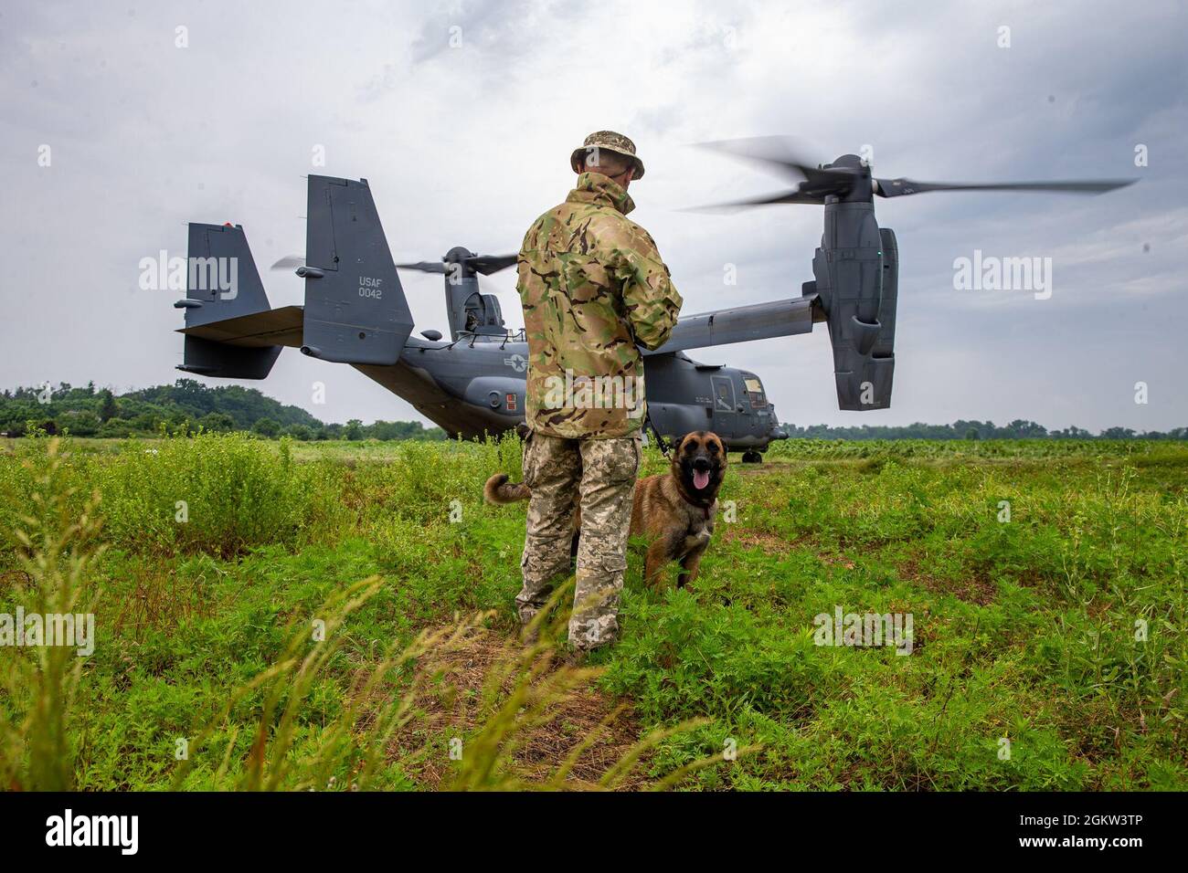 Un gestore di cani delle forze armate ucraine osserva un US Air Force CV-22 Osprey durante l'esercizio Sea Breeze 21 in una posizione non divulgata il 4 luglio 2021. Exercise Sea Breeze è un evento annuale che riunisce unità militari di diversi paesi, e all'interno della 2d Marine Expeditionary Force, per migliorare le loro capacità di combattimento e costruire solide relazioni. Foto Stock