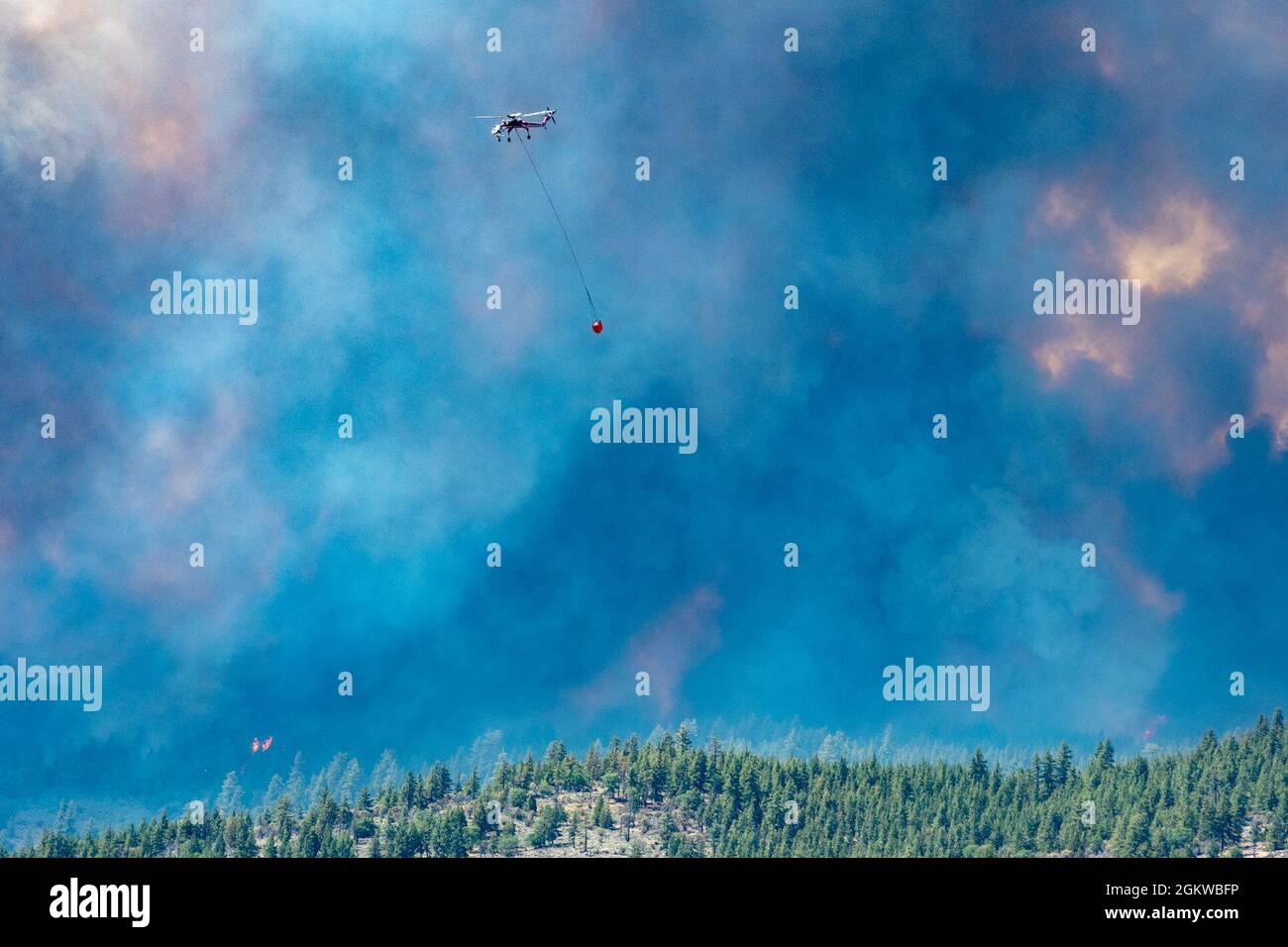 Un elicottero fa cadere l'acqua sul complesso Beckwourth Fire 8 luglio 2021 vicino al lago Frenchman in N. California. Oltre ad altre risorse, tre Guardia Nazionale aerea C-130s--due dal Nevada ed una dalla California assisteranno nel combattere il fuoco complesso di Beckwourth nella California del nord. Il DoD, attraverso il comandante, il comando del Nord degli Stati Uniti Foto Stock