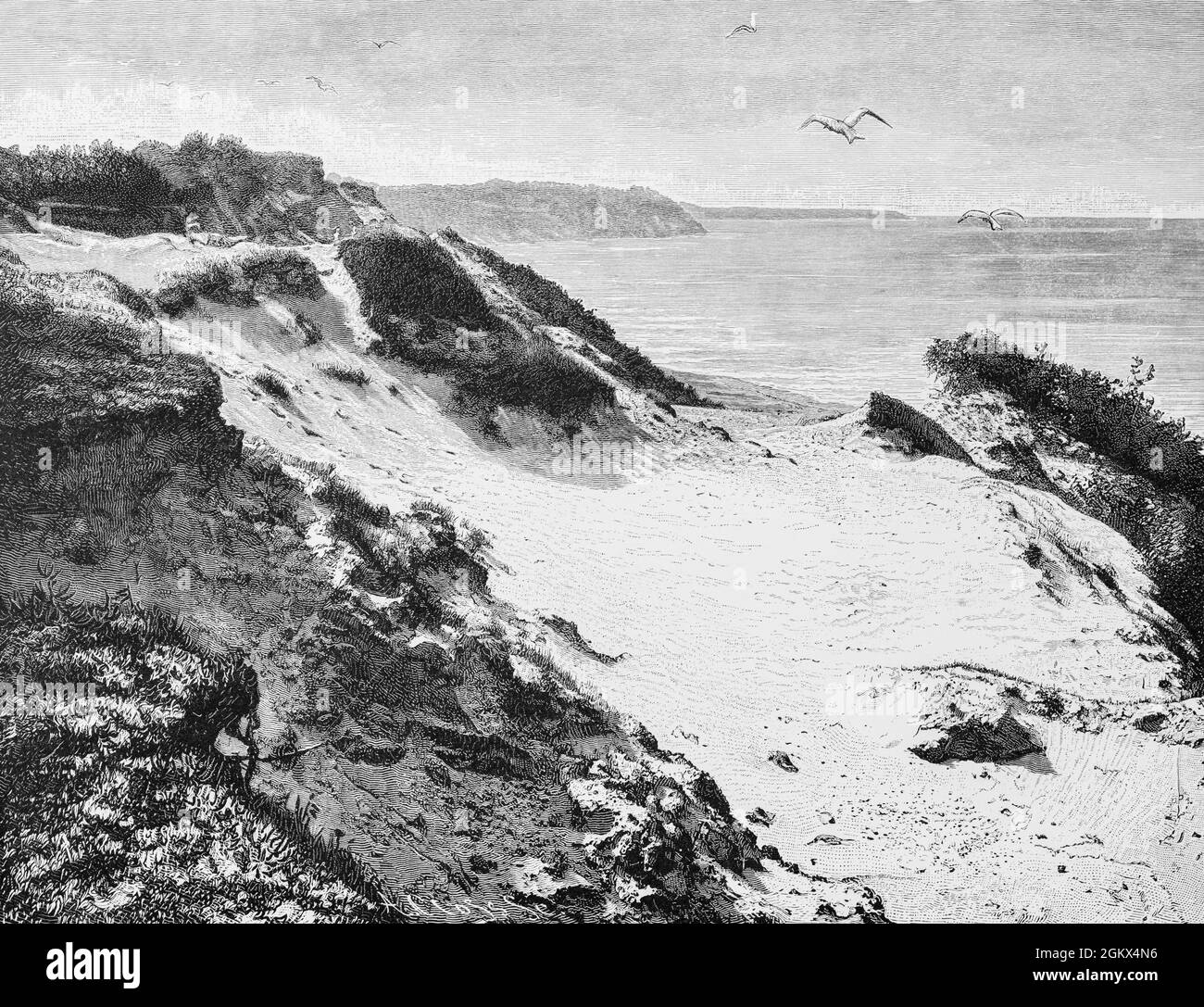 Le dune di Rauschen poi Pomerania, oggi Svetlogorsk Oblast Kaliningrad in Russia sul Mar Baltico, illustrazione storica 1880, Foto Stock