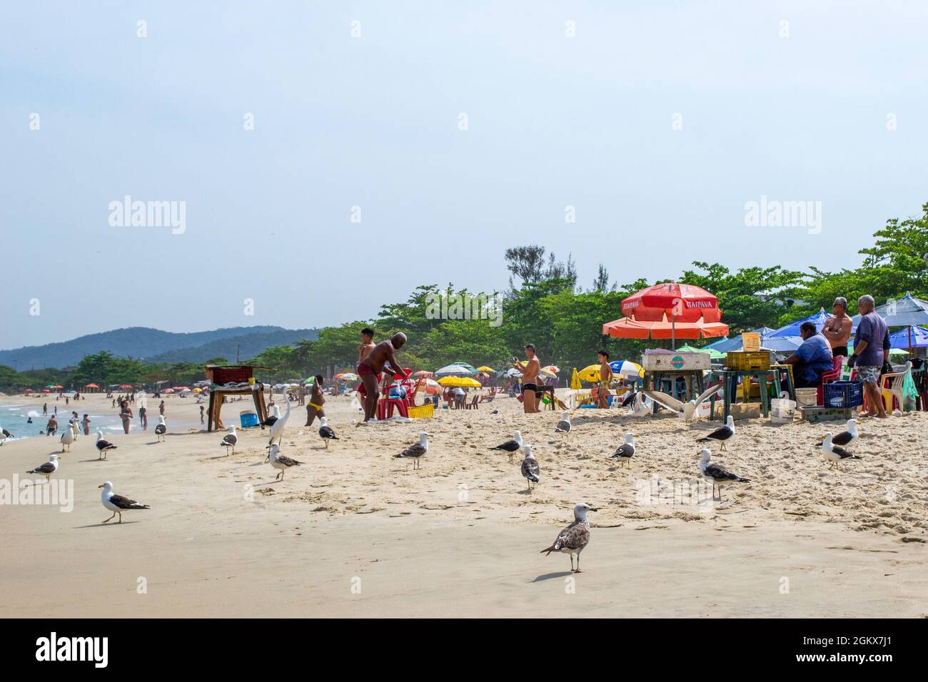 Gruppo di gabbiani nella sabbia a Itaipu Beach, Rio de Janeiro, Brasile. Le persone incidentali sono viste sullo sfondo. Il luogo famoso è un grande tourì Foto Stock