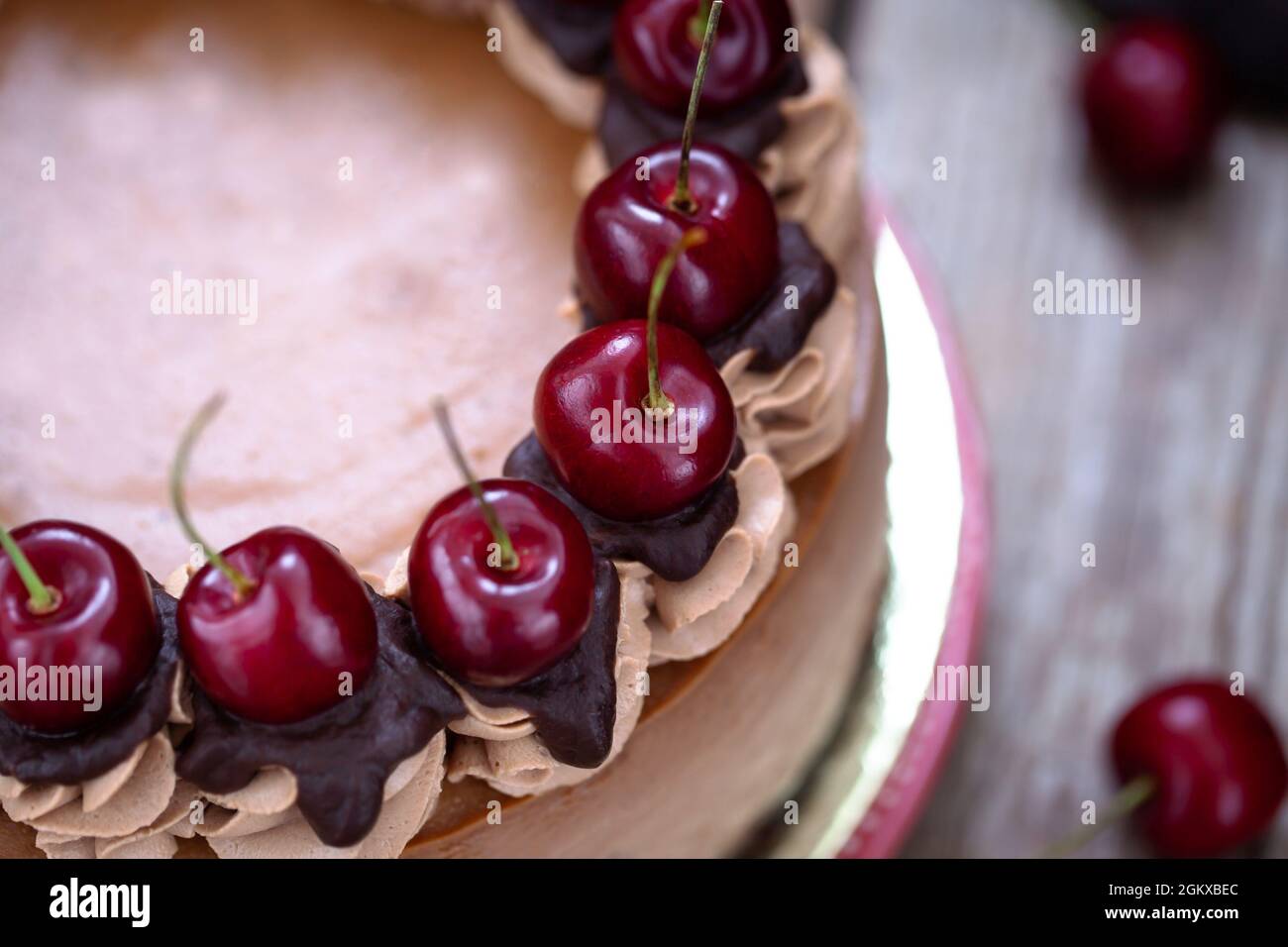 Deliziosa cheesecake al cioccolato fatta in casa decorata con ciliegia fresca Foto Stock