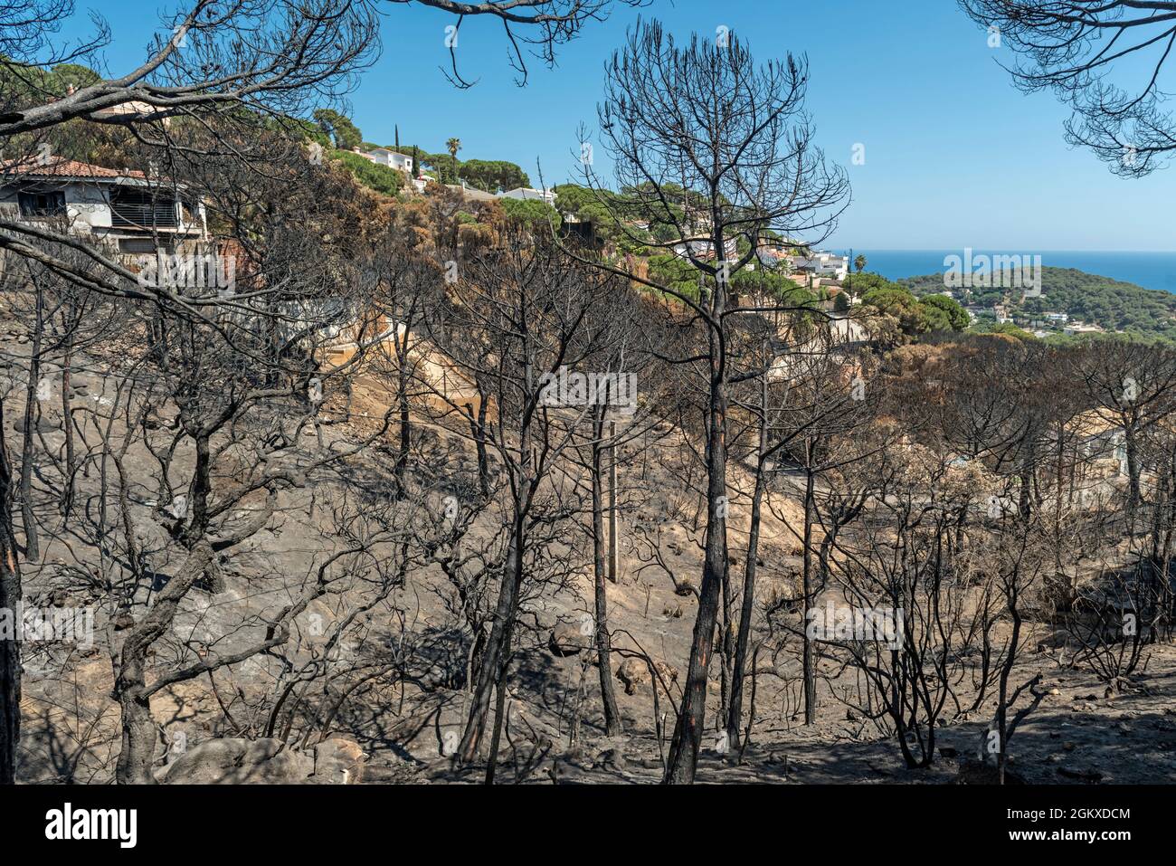 WILDFIRE DANNO FONT SANT LLORENC URBANIZZAZIONE RESIDENZIALE LLORET DE MAR COSTA BRAVA GERONA SPAGNA Foto Stock