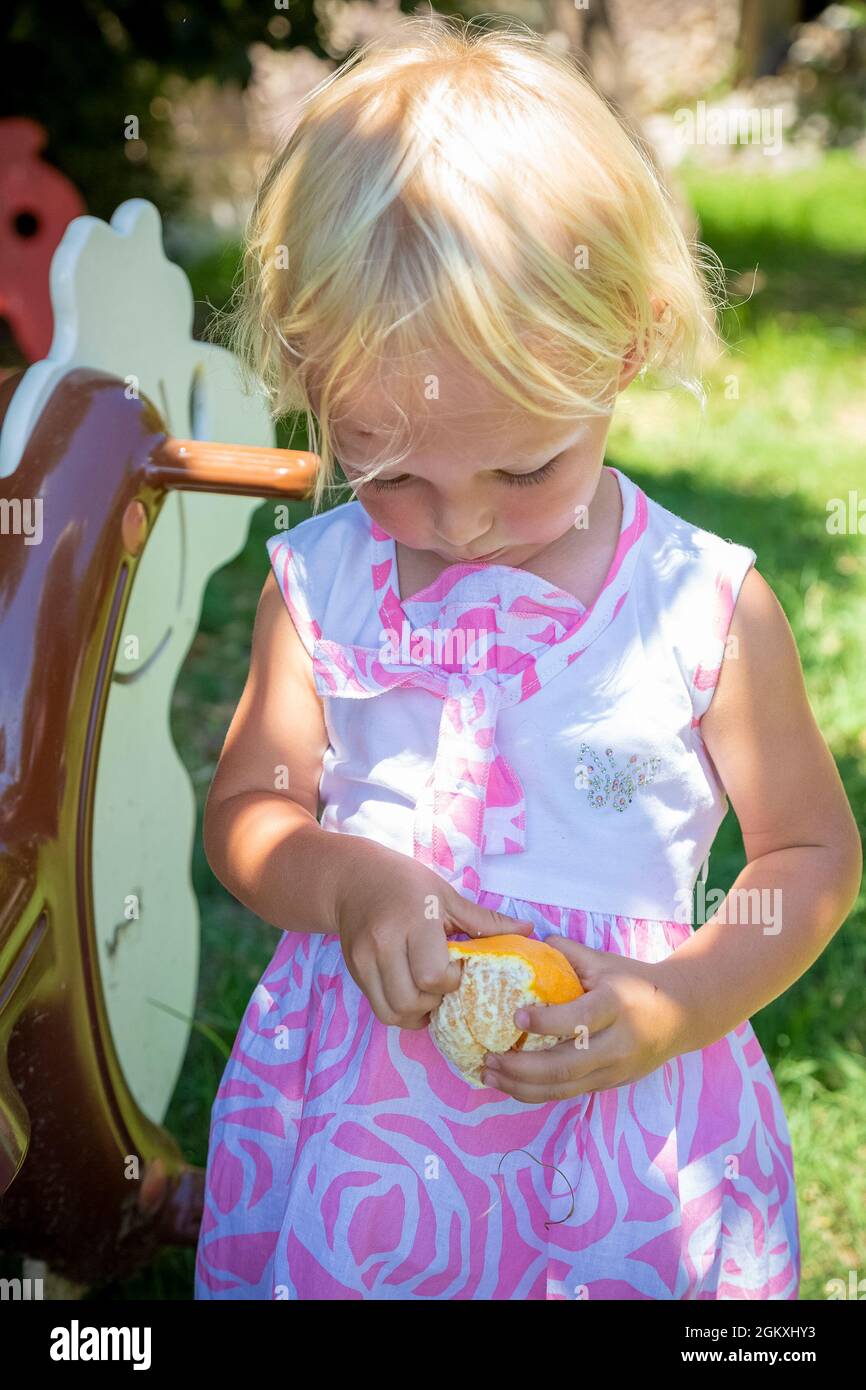 La ragazza bionda caucasica spella un arancio. Il bambino in abito bianco e rosa tiene in mano agrumi succosi. Scena di raccolta del giorno d'estate. Crescere sano concetto Foto Stock
