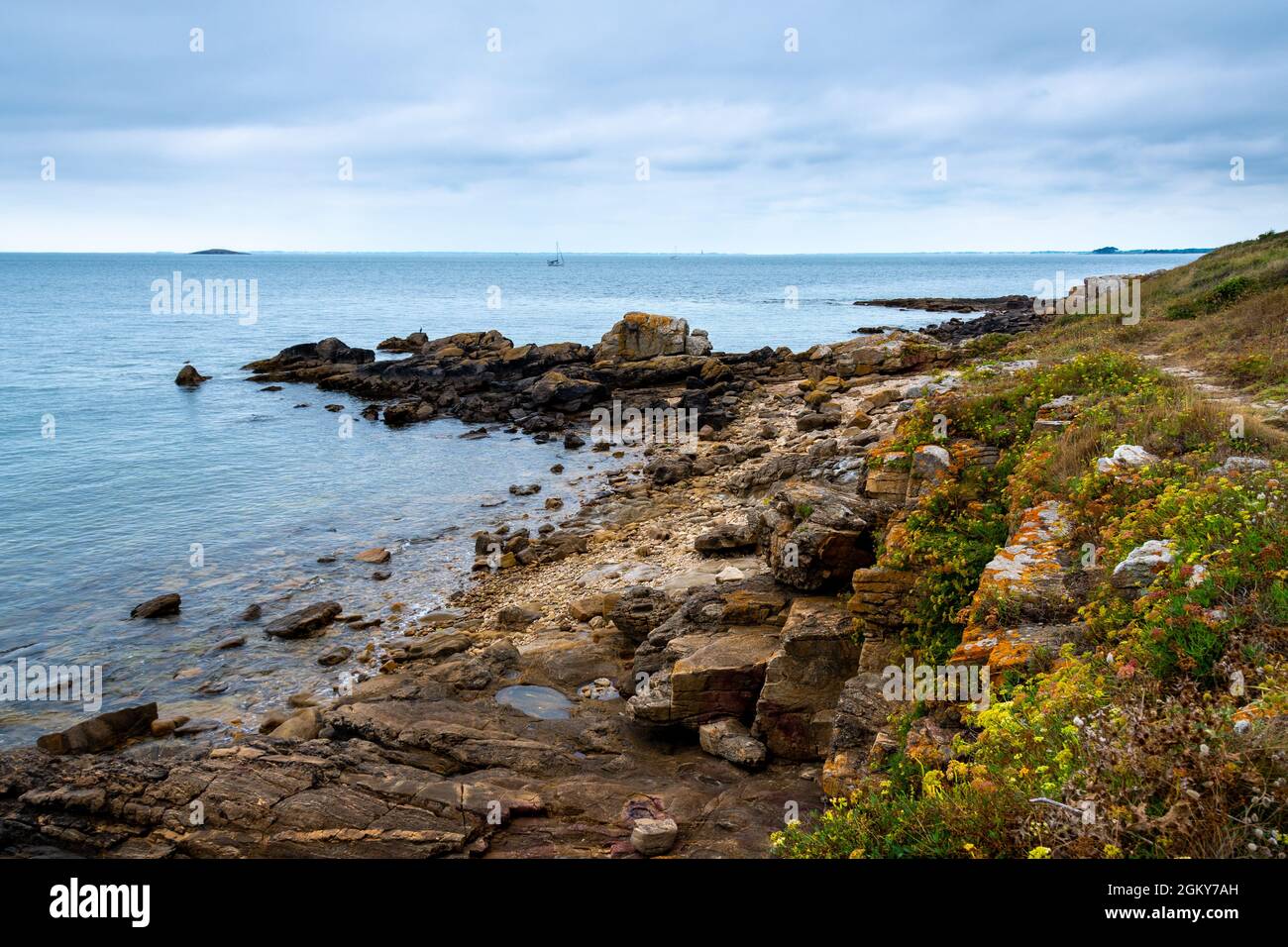 Paesaggio della costa bretone in estate ad Arzon, Morbihan, Francia Foto Stock