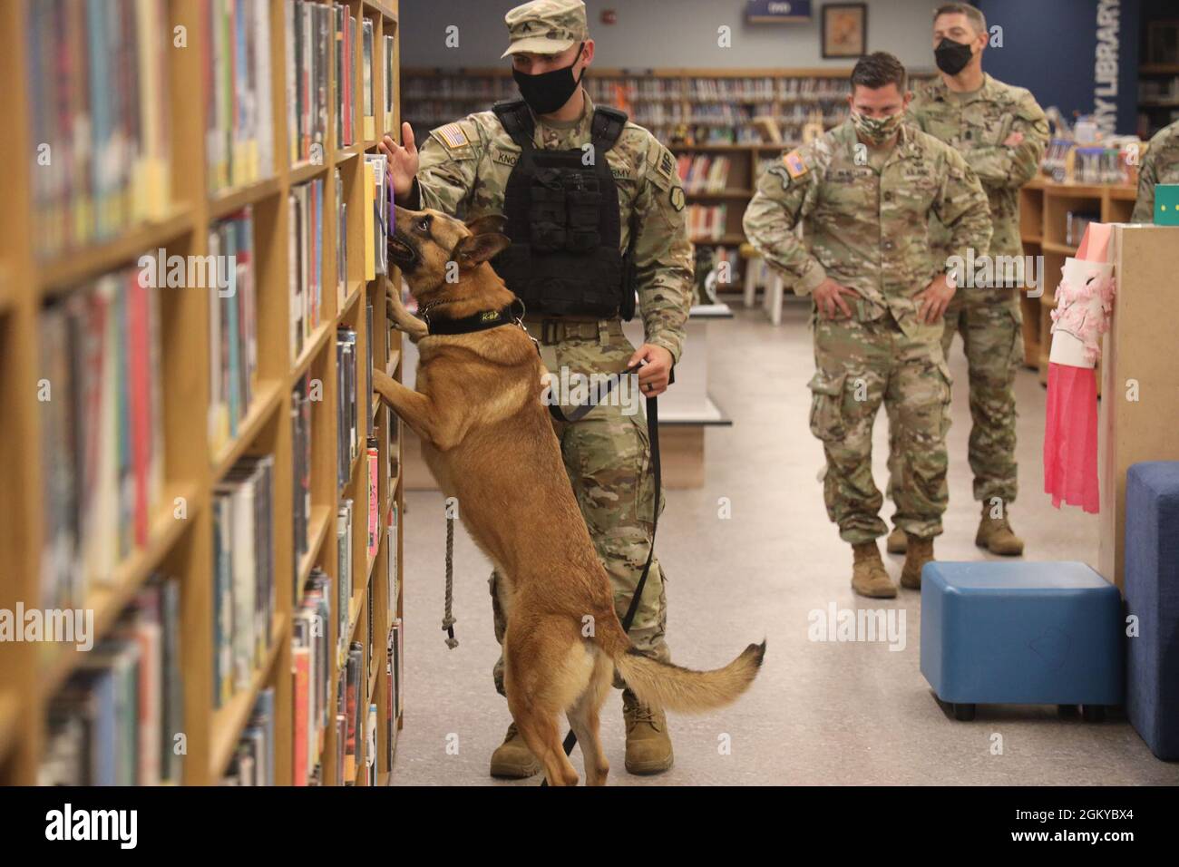 MWD Tyson e il suo gestore, CPL. Gregory Knowles, 503esimo distaccamento militare del cane da lavoro, 94esimo Battaglione militare della polizia, dimostrano la loro competenza nella ricerca del contrabbando alla Biblioteca del Camp Walker, mentre sono certificati dall'ottavo programma militare del cane da lavoro militare dell'Eighth Army. Foto Stock