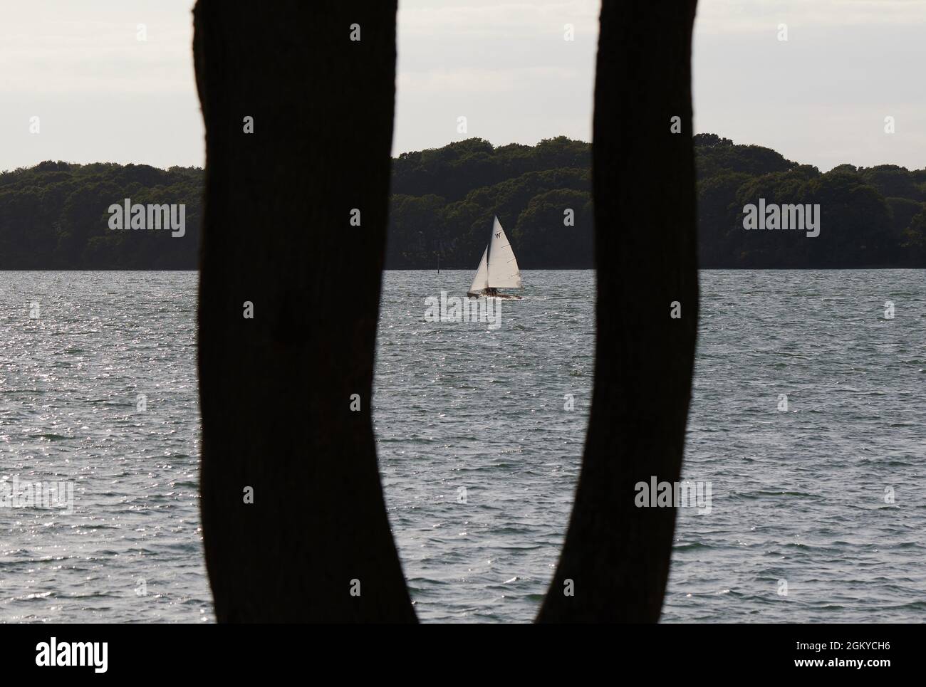 Barca a vela a Bosham Deeps vicino Chichester, Regno Unito Foto Stock
