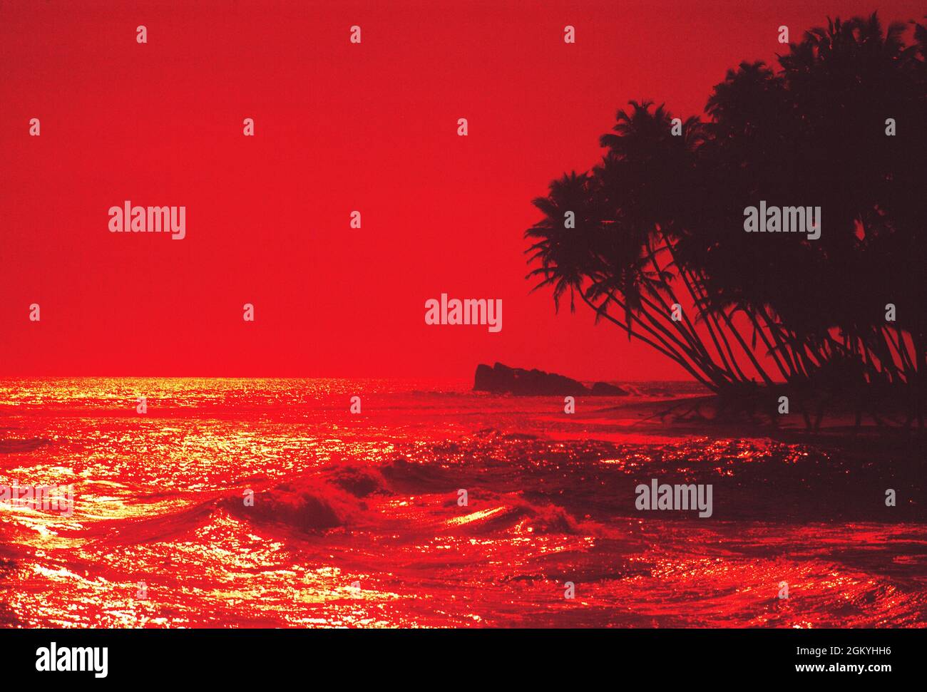 Malesia. Palme sulla spiaggia tropicale al tramonto. Foto Stock