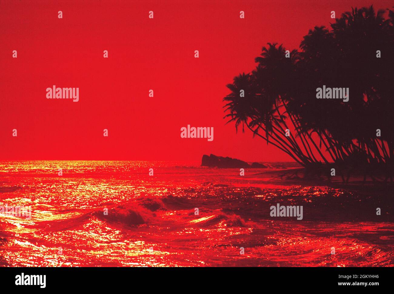 Malesia. Palme sulla spiaggia tropicale al tramonto. Foto Stock