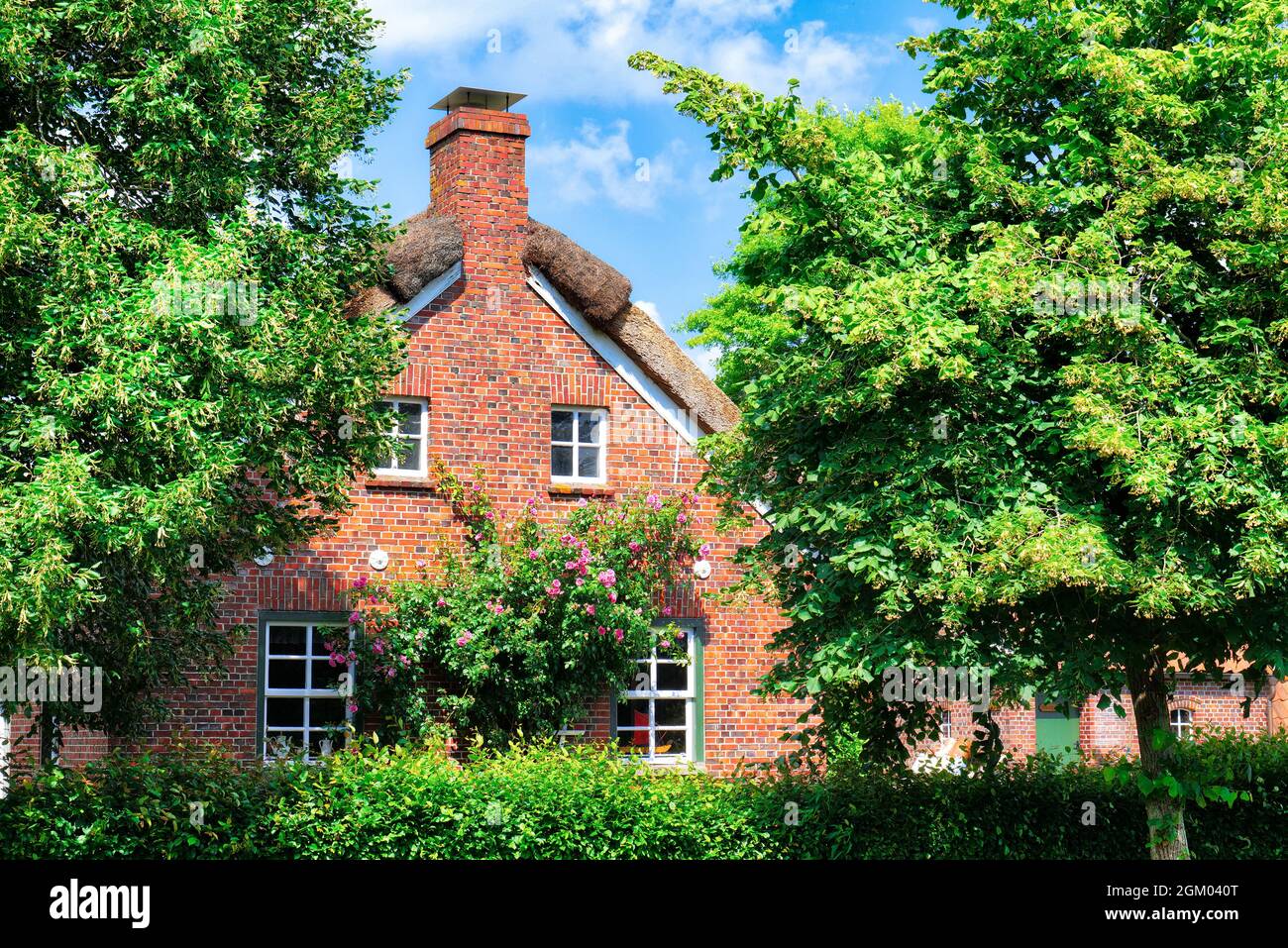 Tradizionale casa in mattoni frisone a Wiesmoor vicino Ottermeer Foto Stock