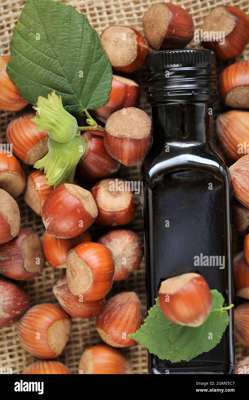 Olio di nocciola. Bottiglia di vetro e nocciole su olio di nocciola fresco burlap.Organic Vegan. Foto Stock