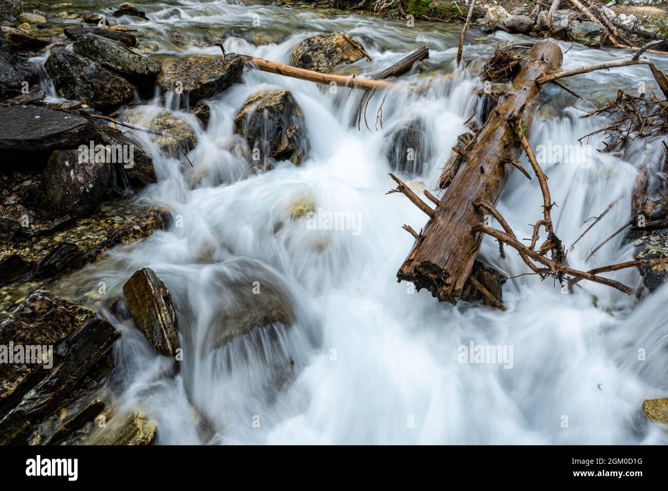 Tree Trunk incuneato nelle rocce mentre l'acqua scorre attraverso Paintbrush Canyon nel Parco Nazionale Grand Teton Foto Stock