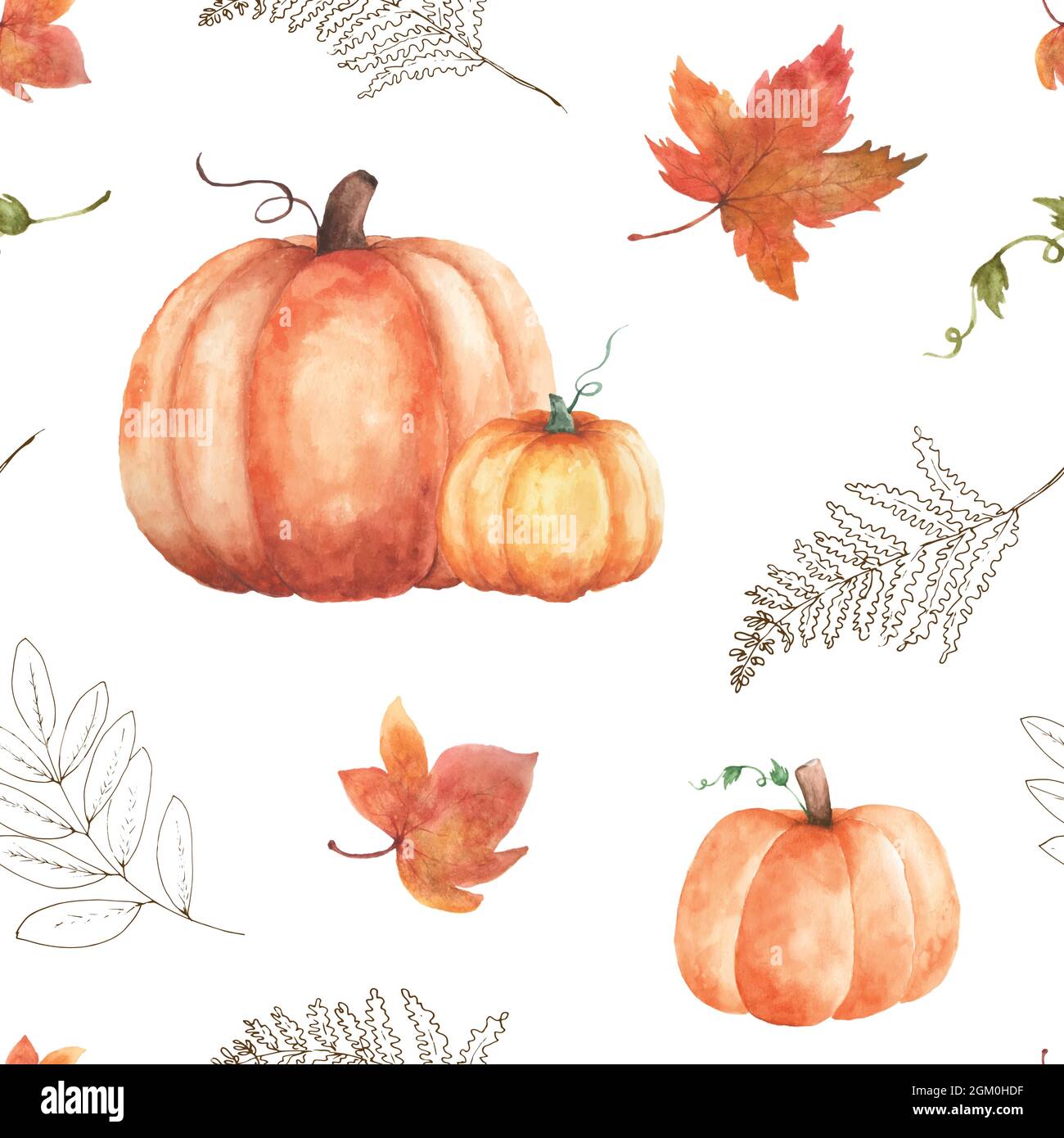 Acquerello senza cuciture autunno su sfondo bianco. Acquerello dipinto a mano con zucca e foglie d'acero art design per decorativo in autum Illustrazione Vettoriale