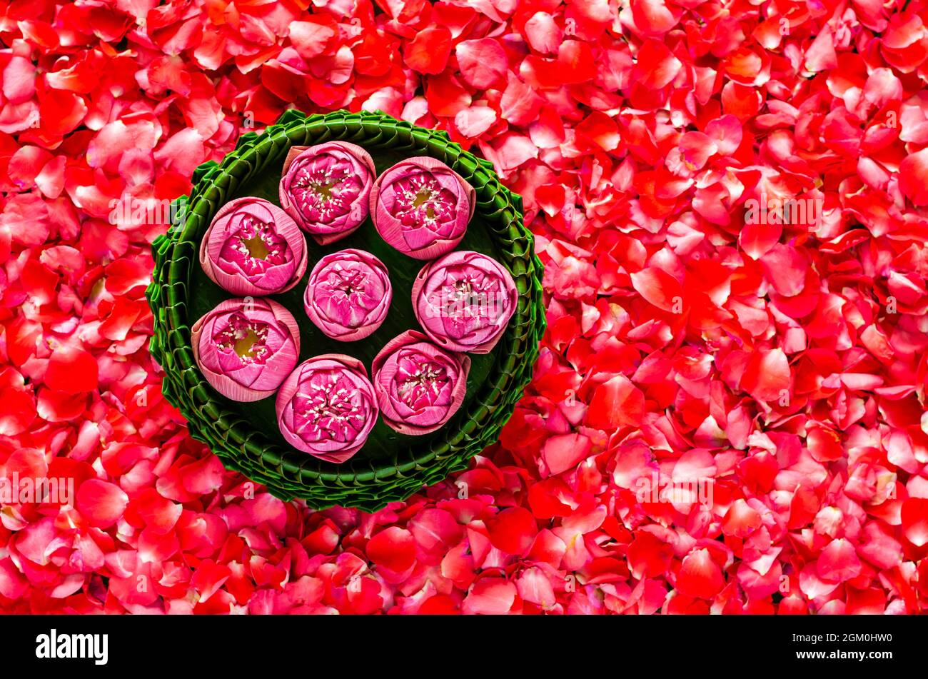 Foglia di banana Krathong con fiori di loto per la Thailandia Luna piena o festival Loy Krathong su sfondo rosso petali di rosa. Foto Stock