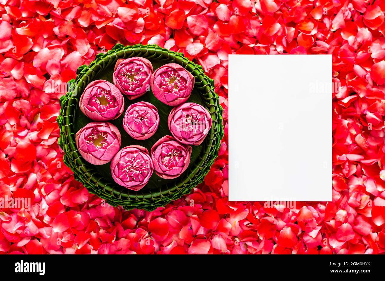 Foglia di banana Krathong con fiori di loto per la Thailandia Luna piena o Loy Krathong festival con spazio per il testo su sfondo rosso petali di rosa. Foto Stock