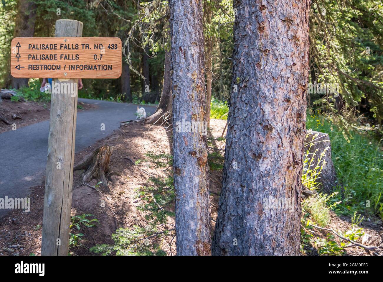 Palisade Falls, MT, USA - 26 luglio 2020: I diversi tipi di prove che vanno alla sua destinazione panoramica Foto Stock