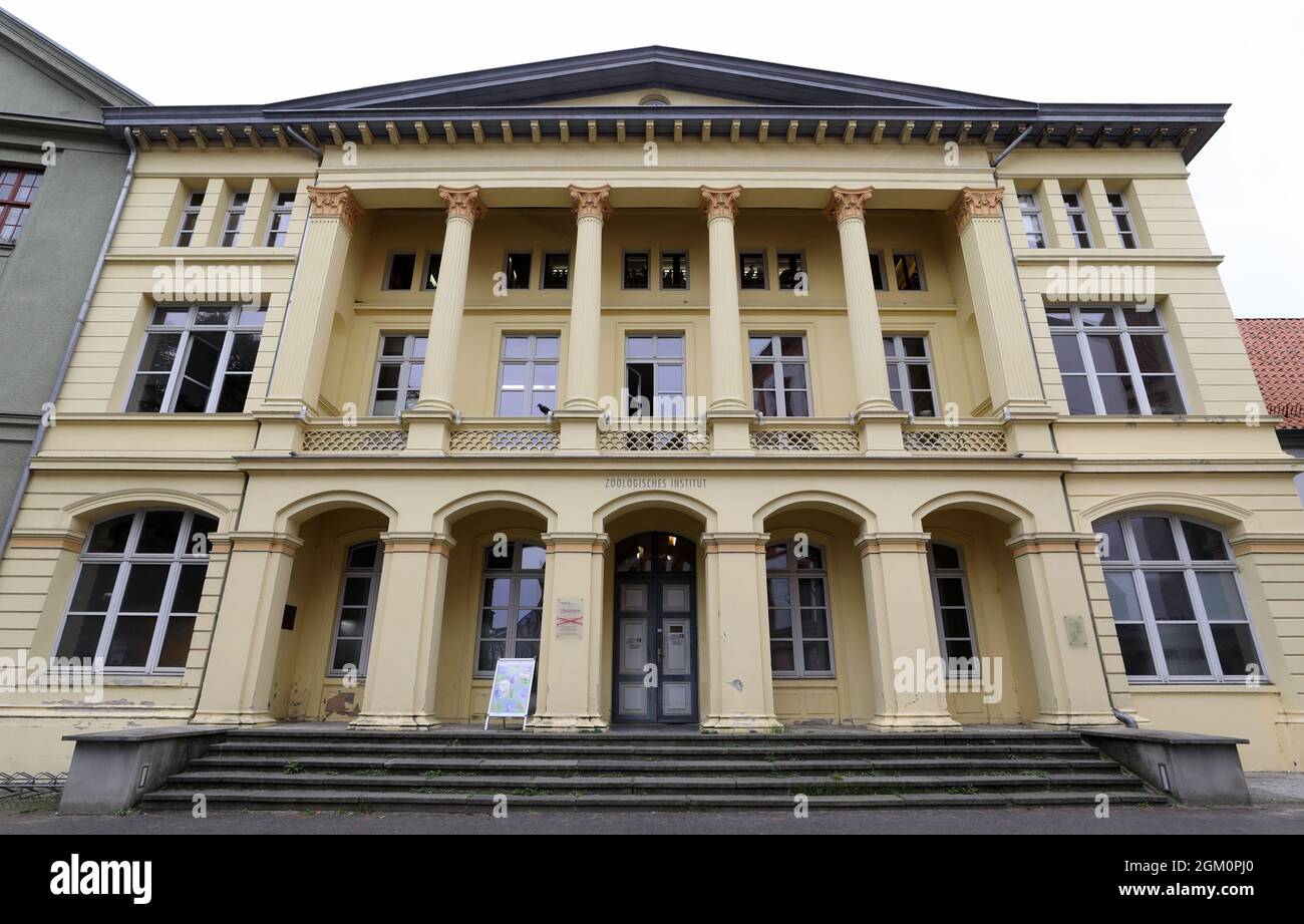 Rostock, Germania. 15 settembre 2021. L'Istituto Zoologico dell'Università di Rostock dal 1880 al Universitätsplatz. Tra le altre cose, la Collezione Zoologica dell'università, fondata nel 1775, si trova qui. Comprende un'area per mostre speciali al piano terra, una storica rivista di schiuma e un'area per la collezione di ricerca, non aperta al pubblico. A causa di Corona, solo la mostra speciale può essere visitata al momento. Credit: Bernd Wüstneck/dpa-Zentralbild/ZB/dpa/Alamy Live News Foto Stock