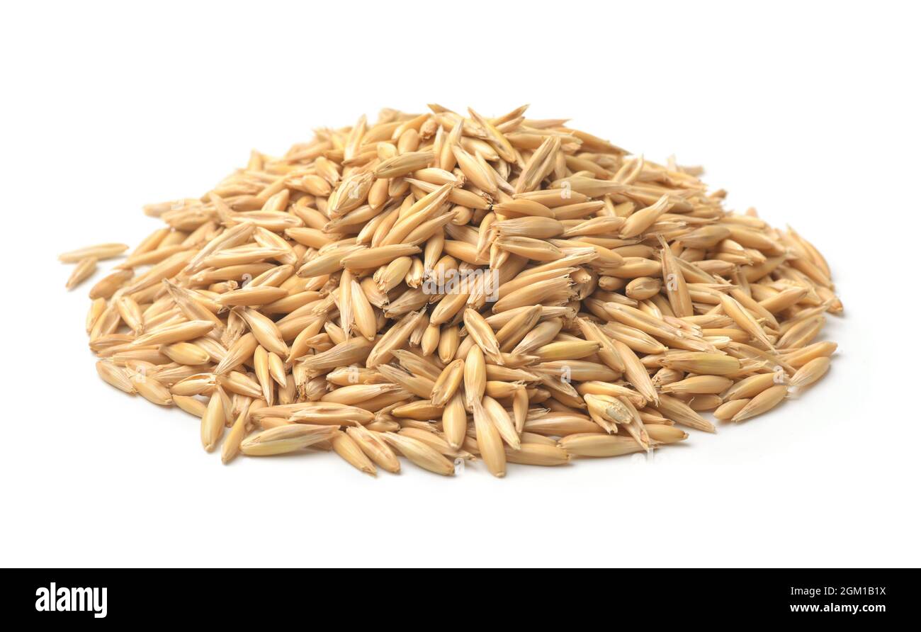 Mucchio di grani interi di avena isolato su bianco Foto Stock